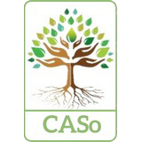 CASo-logo